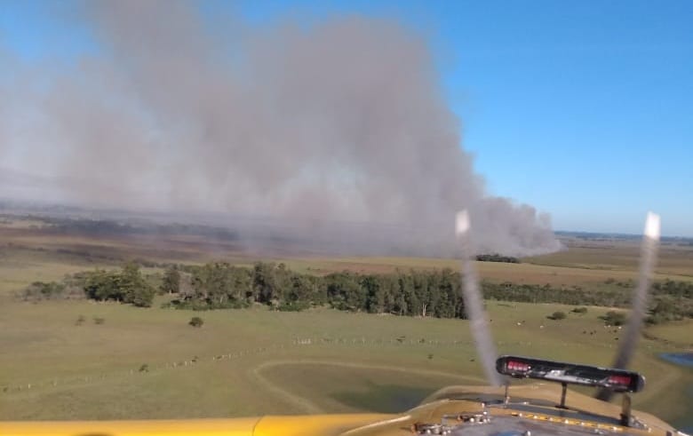 Incêndio atinge Área de Proteção Ambiental em que ficam nascentes da Bacia do Rio Gravataí