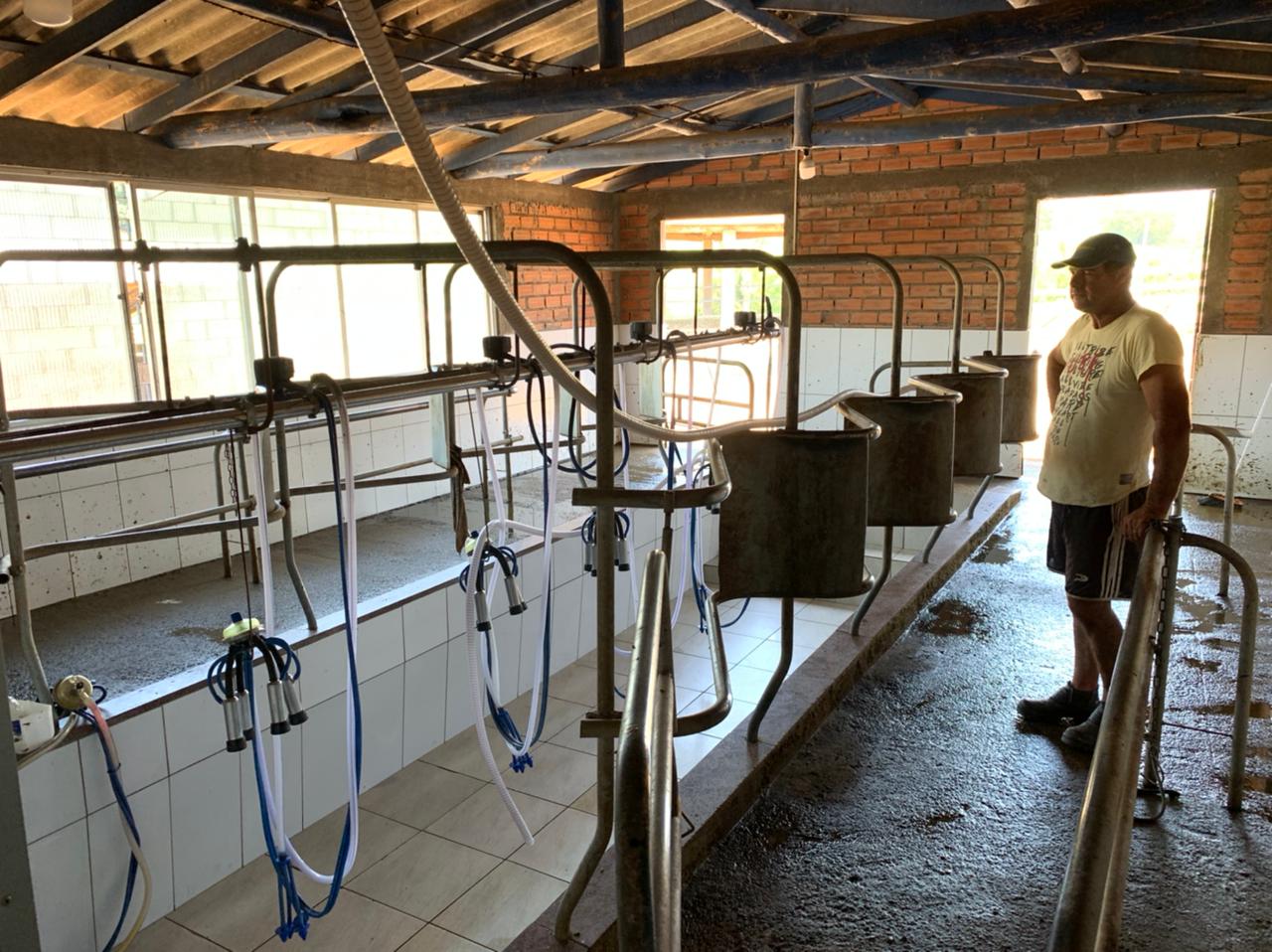 Falta constante de energia elétrica altera a rotina de famílias e produtores da área rural de Gravataí
