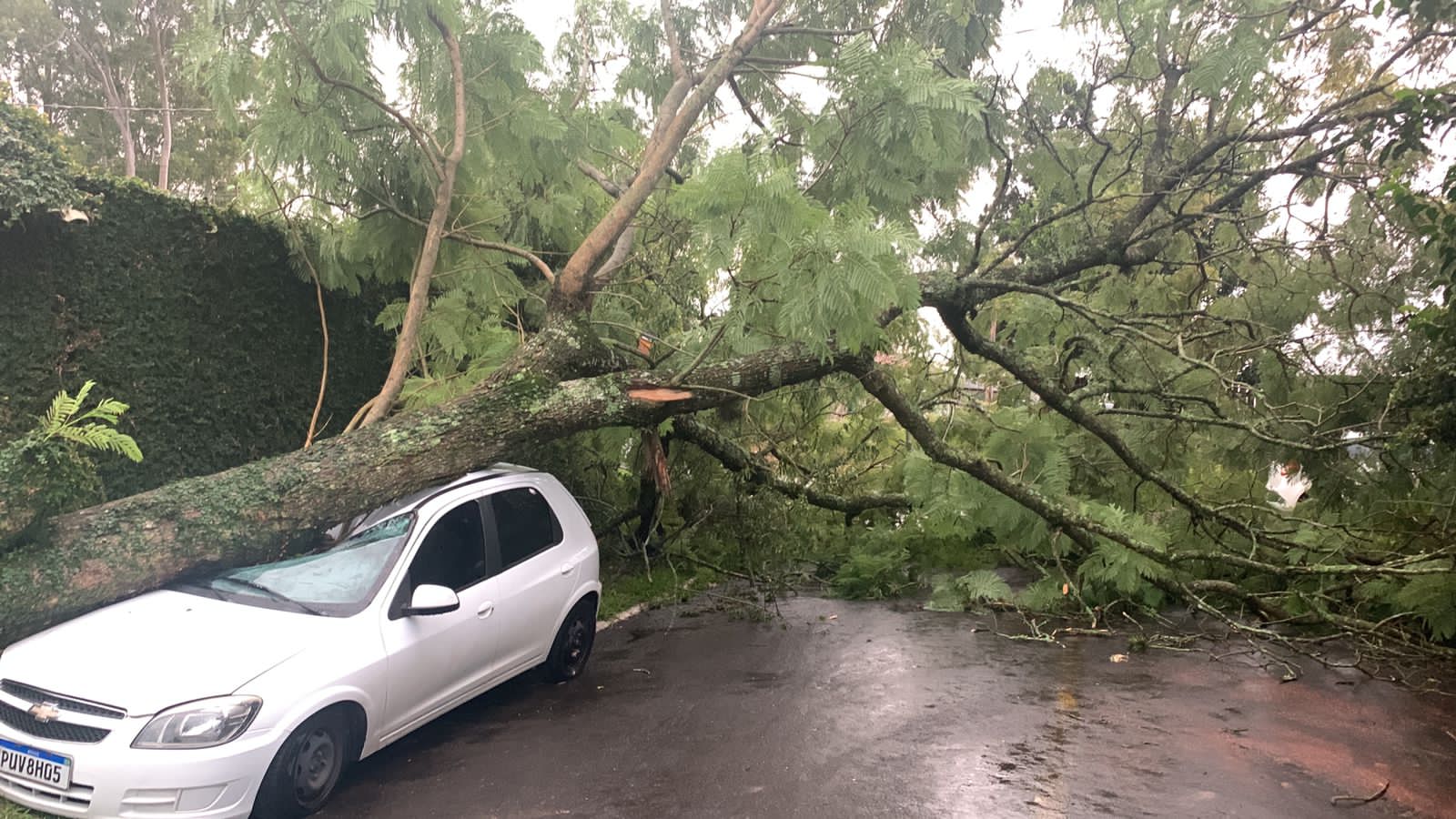 Temporal que atingiu Gravataí causou estragos
