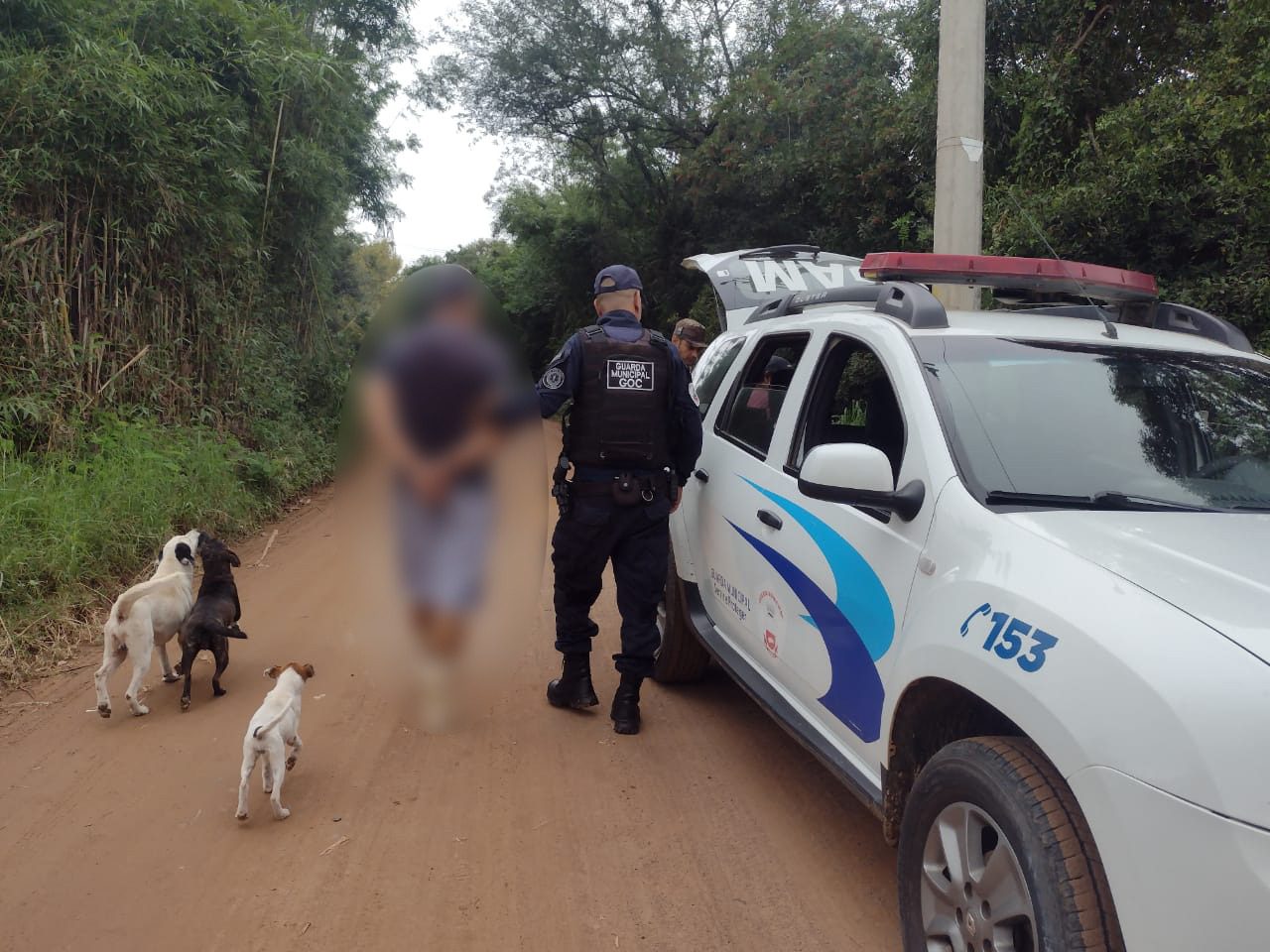 Dois homens são presos por ligação clandestina em poste de luz em Gravataí