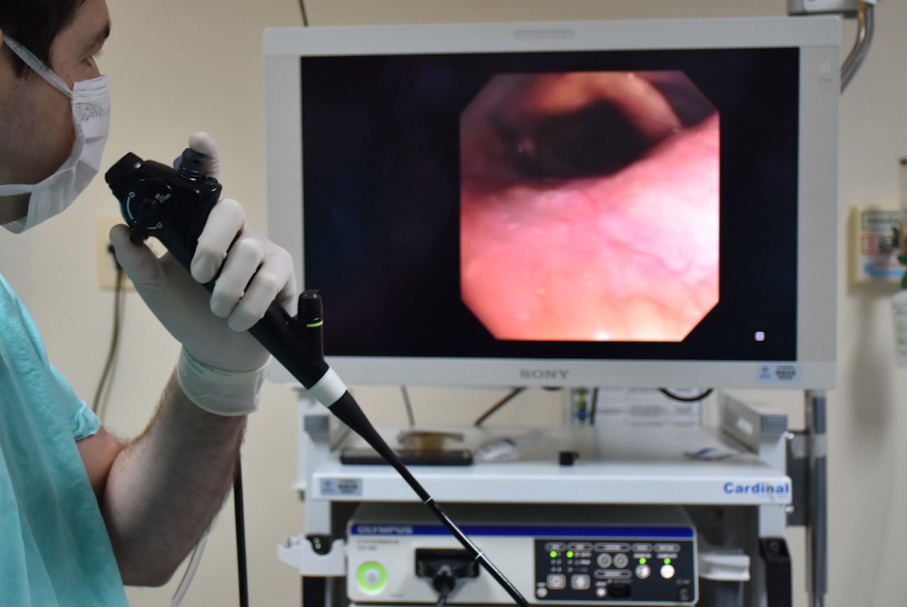 Dia Mundial da Saúde Digestiva alerta para os cuidados e a prevenção