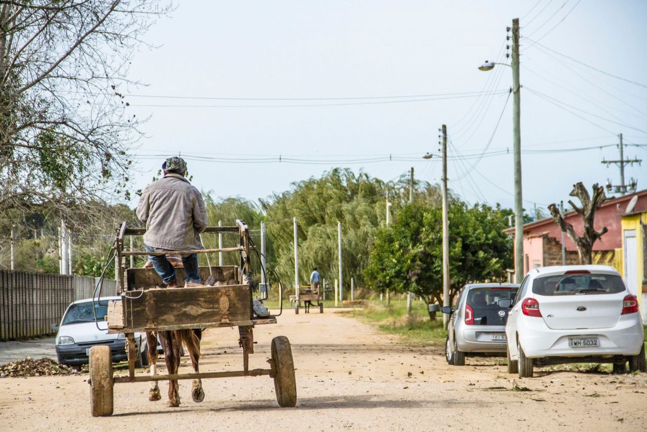 Gravataí oferta mais de 400 vagas de formação para carroceiros na Lei Tubiana