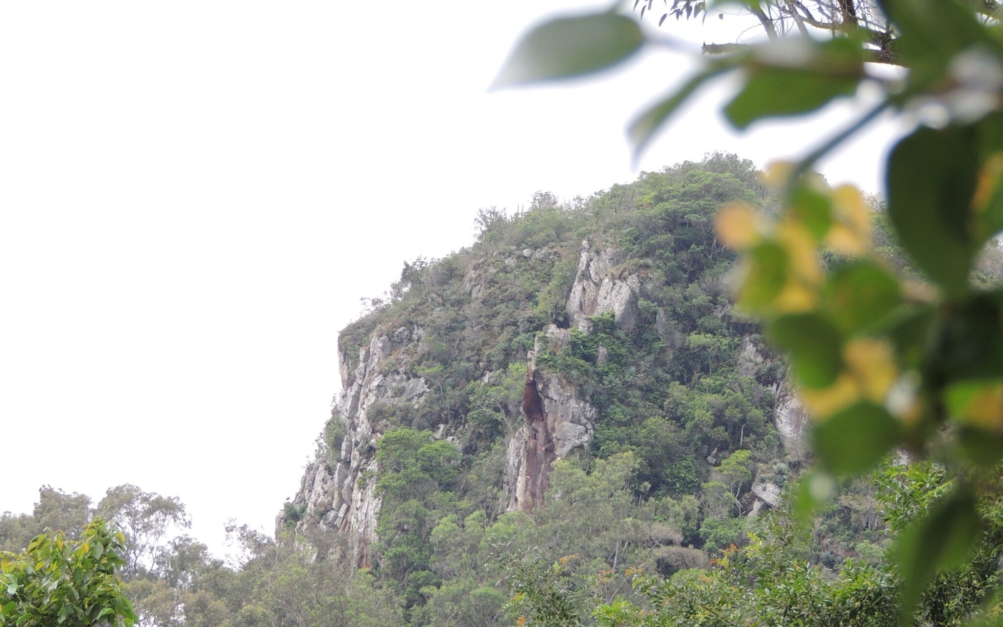 Sesc Gravataí está com inscrições abertas para trilha no Morro Itacolomi