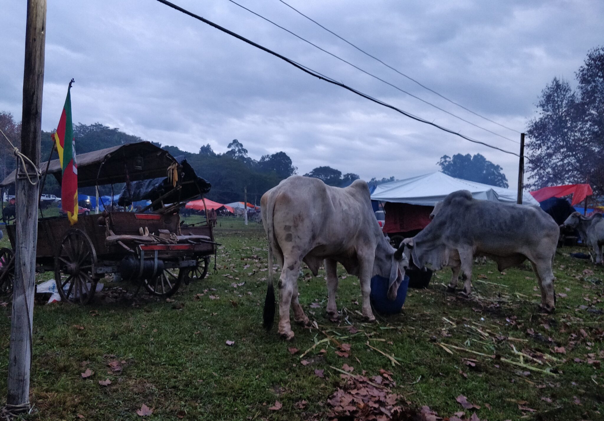 Devido à instabilidade climática, eventos são cancelados em Gravataí
