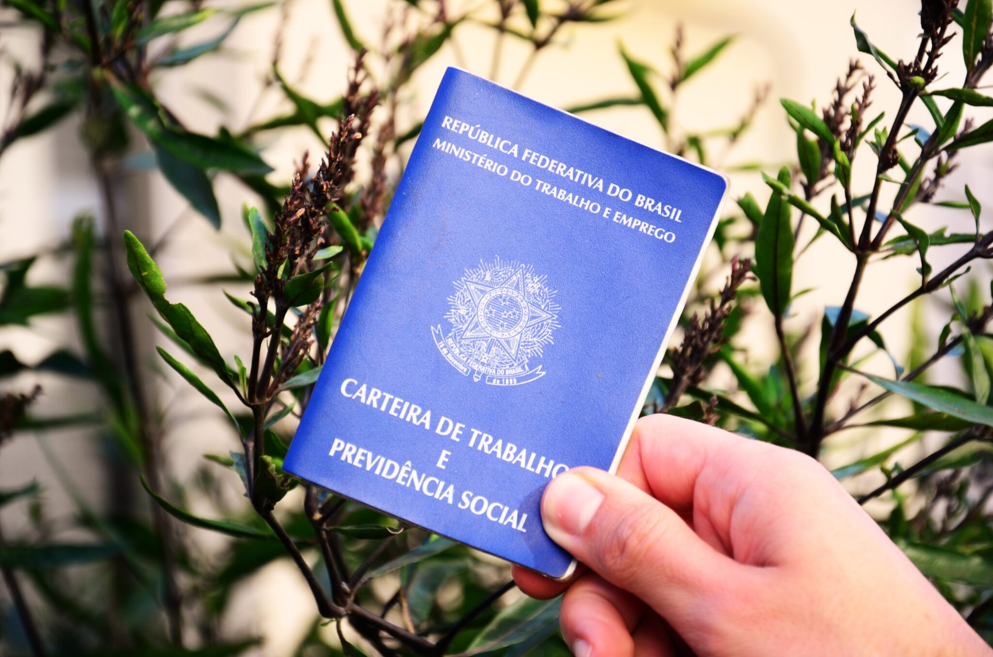 Em Gravataí, demitidos no 1º semestre podem receber parcelas adicionais do seguro