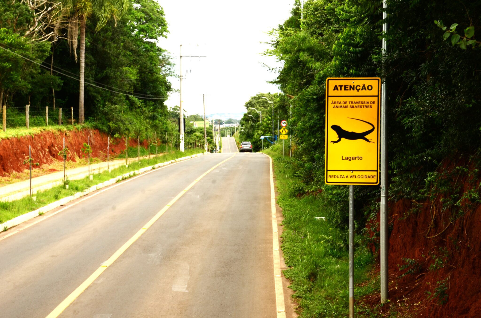 A fim de proteger os animais silvestres locais, placas de trânsito são instaladas em Gravataí