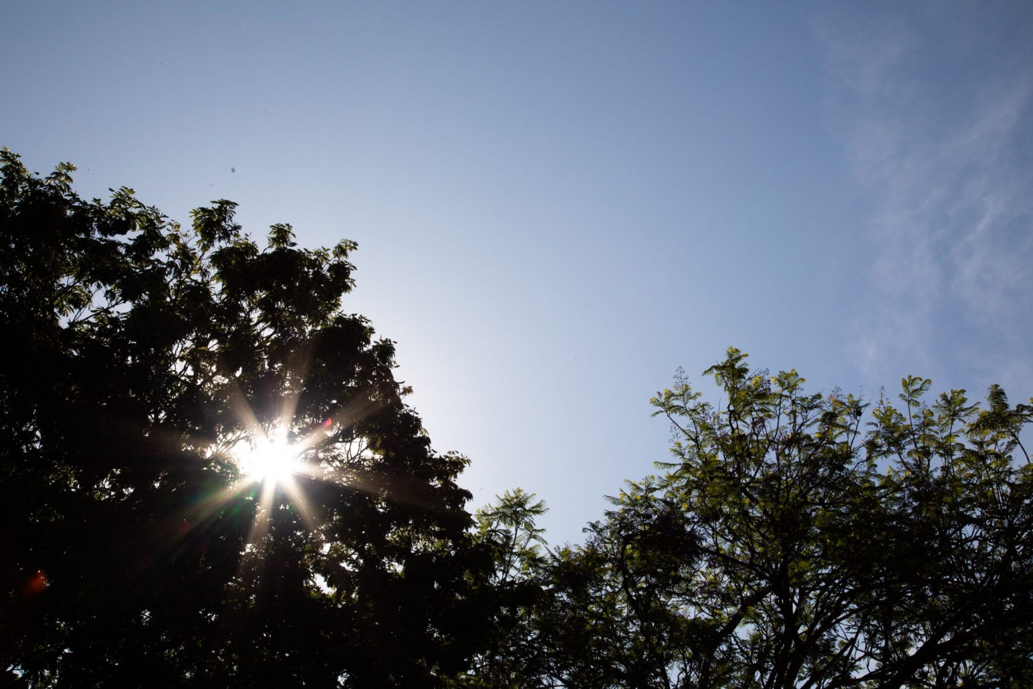 Gravataí registra sensação térmica de 41 graus