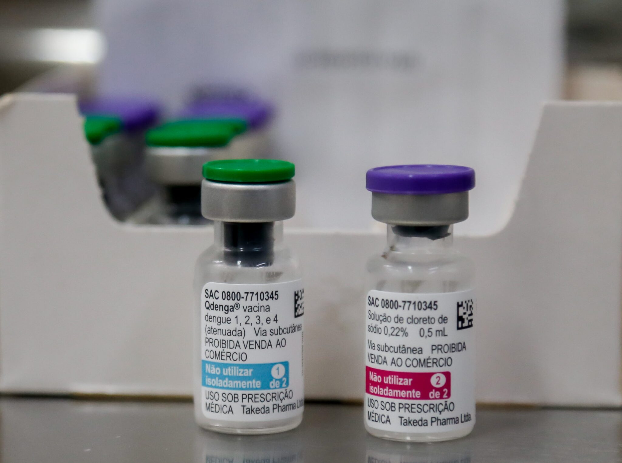 Gravataí e Cachoeirinha vão receber as primeiras doses da vacina contra a dengue na quinta-feira