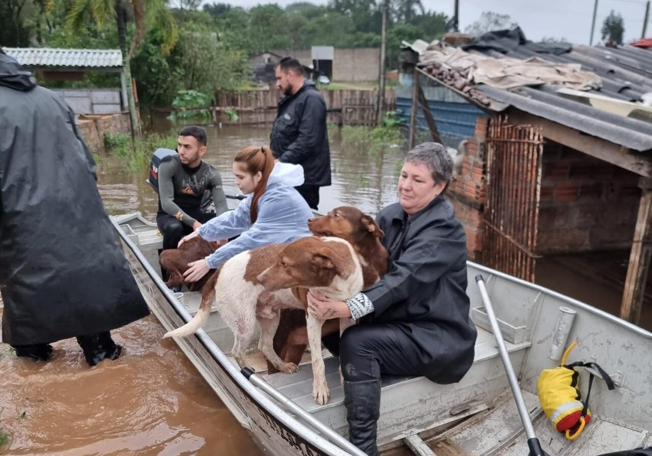 Vaquinha busca comprar barco para voluntários de Gravataí que resgataram centenas de animais