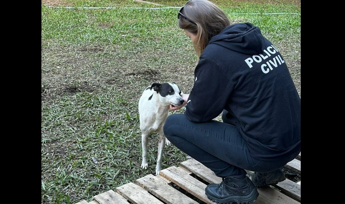 Polícia Civil ajuda mulheres abrigadas em Gravataí a reencontrarem seus animais
