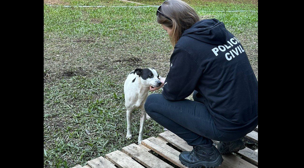 Polícia Civil ajuda mulheres abrigadas em Gravataí a reencontrarem seus animais