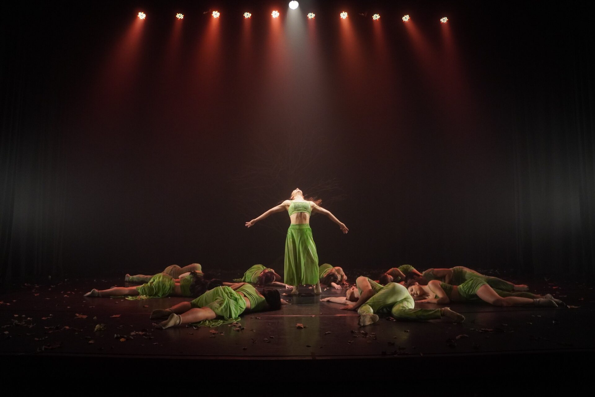 Espetáculo de dança será apresentado gratuitamente em Gravataí este mês