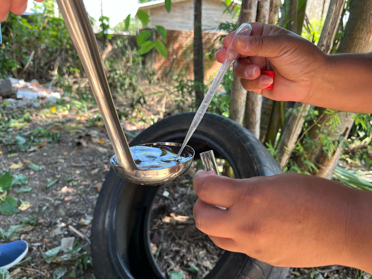 Com mais de 2 mil casos confirmados, Gravataí alerta para os cuidados com o mosquito da dengue