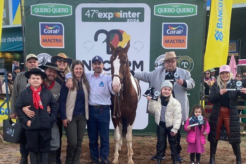 Rancho de Gravataí conquista cinco premiações na Expointer com cavalo Mangalarga