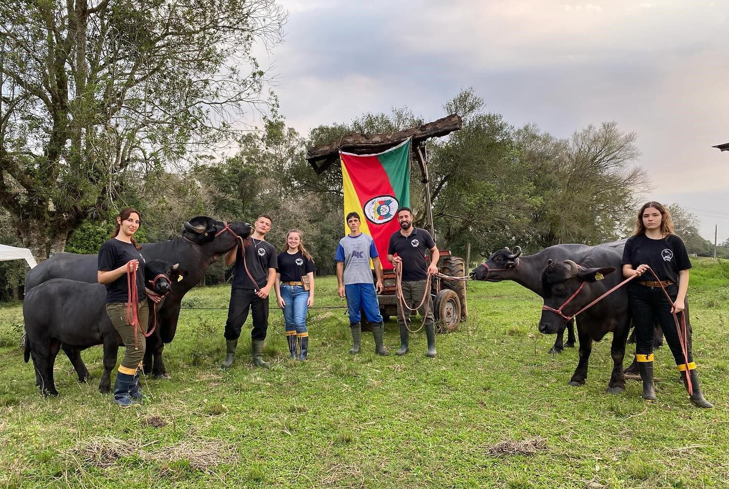 Conheça a cabanha de búfalos de Gravataí que é destaque na Expointer há três anos