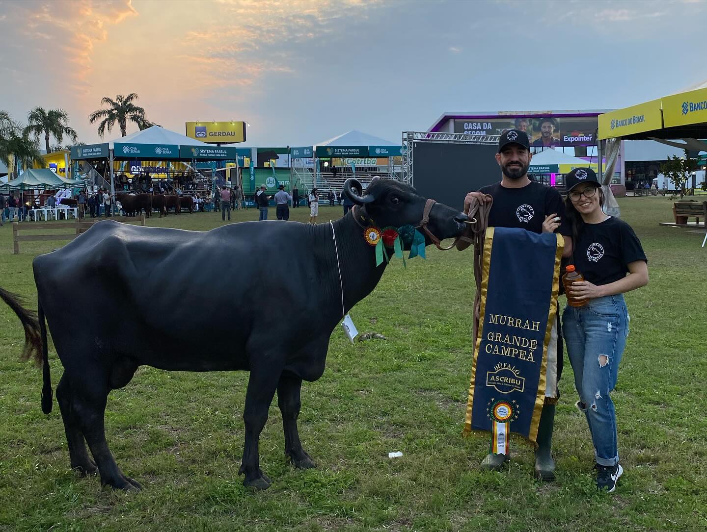 Pelo terceiro ano consecutivo, criadores de bubalinos em Gravataí recebem o Troféu Farsul Banrisul
