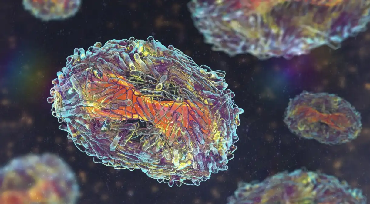 Gravataí registrou o primeiro caso de mpox, doença viral declarada emergência global