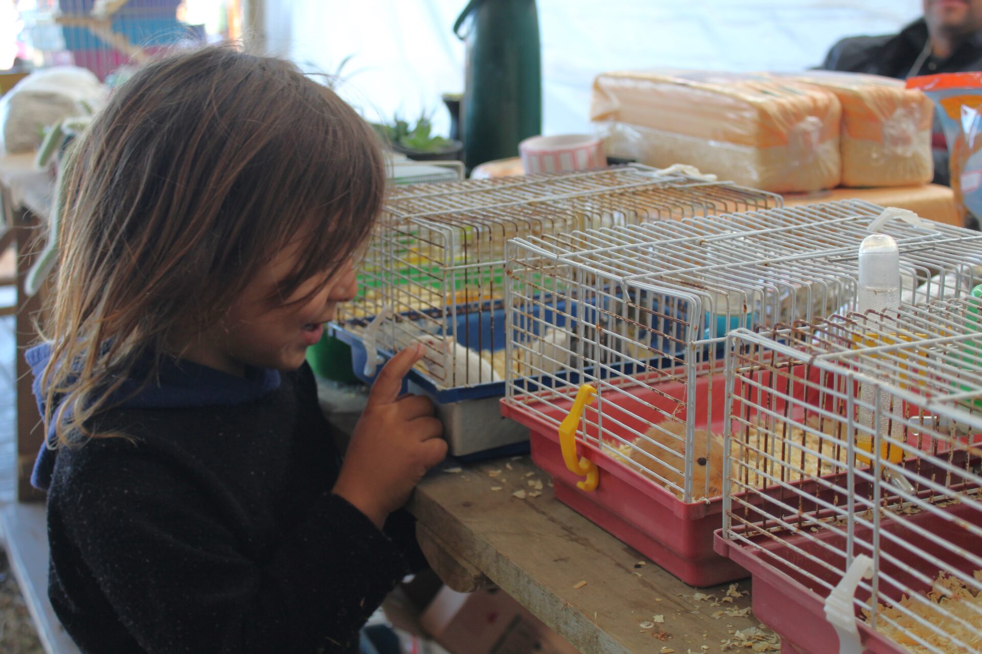Veja algumas atividades que têm encantado o público infantojuvenil na Fearg, em Gravataí