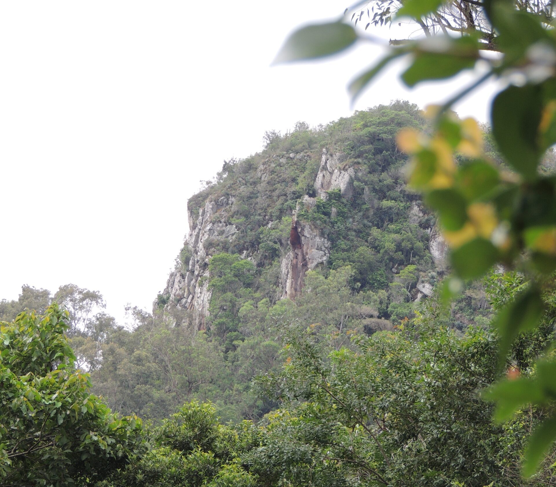 Primavera começa neste domingo com calor em Gravataí; temperatura pode chegar aos 37ºC na segunda