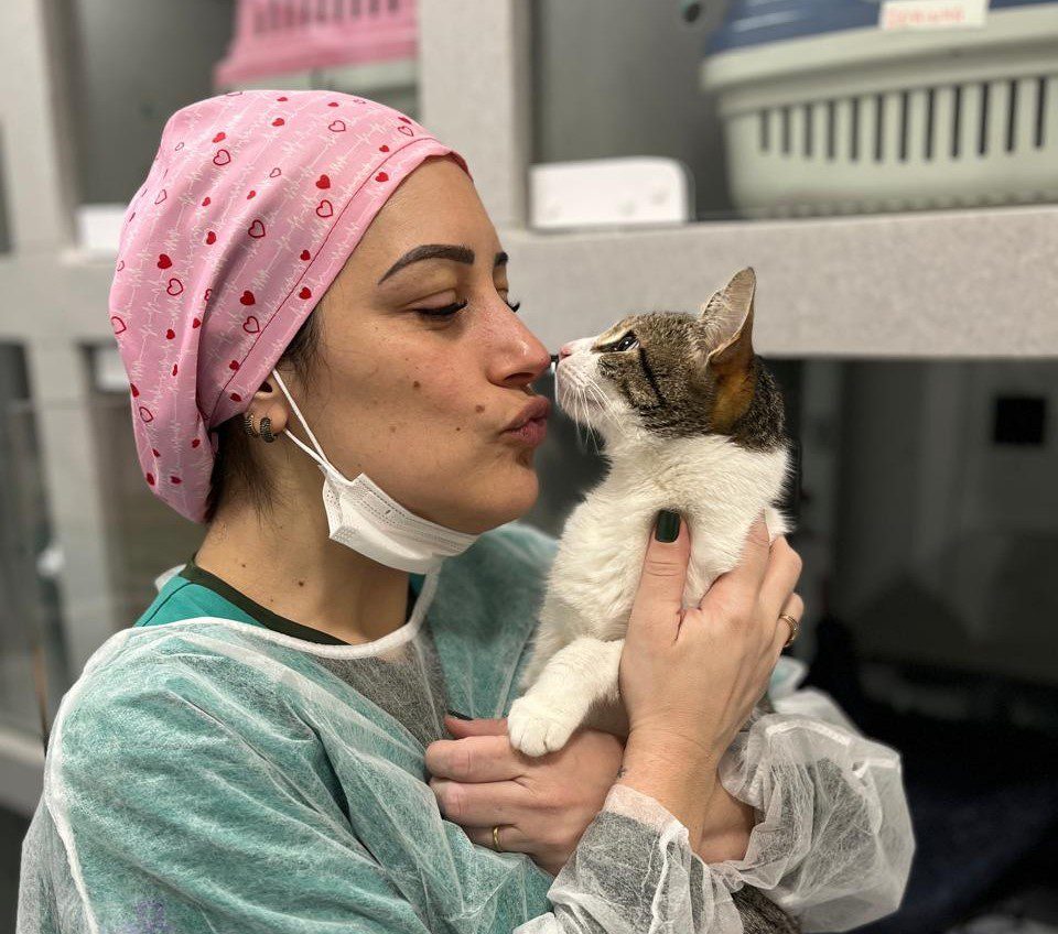 Vet Hope Hospital Veterinário oferece estrutura completa e atendimento 24h em Cachoeirinha