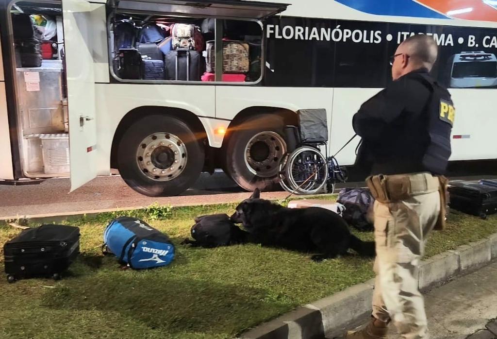 Em Gravataí, cão farejador do Gaeco localiza drogas na mochila de passageiro em ônibus