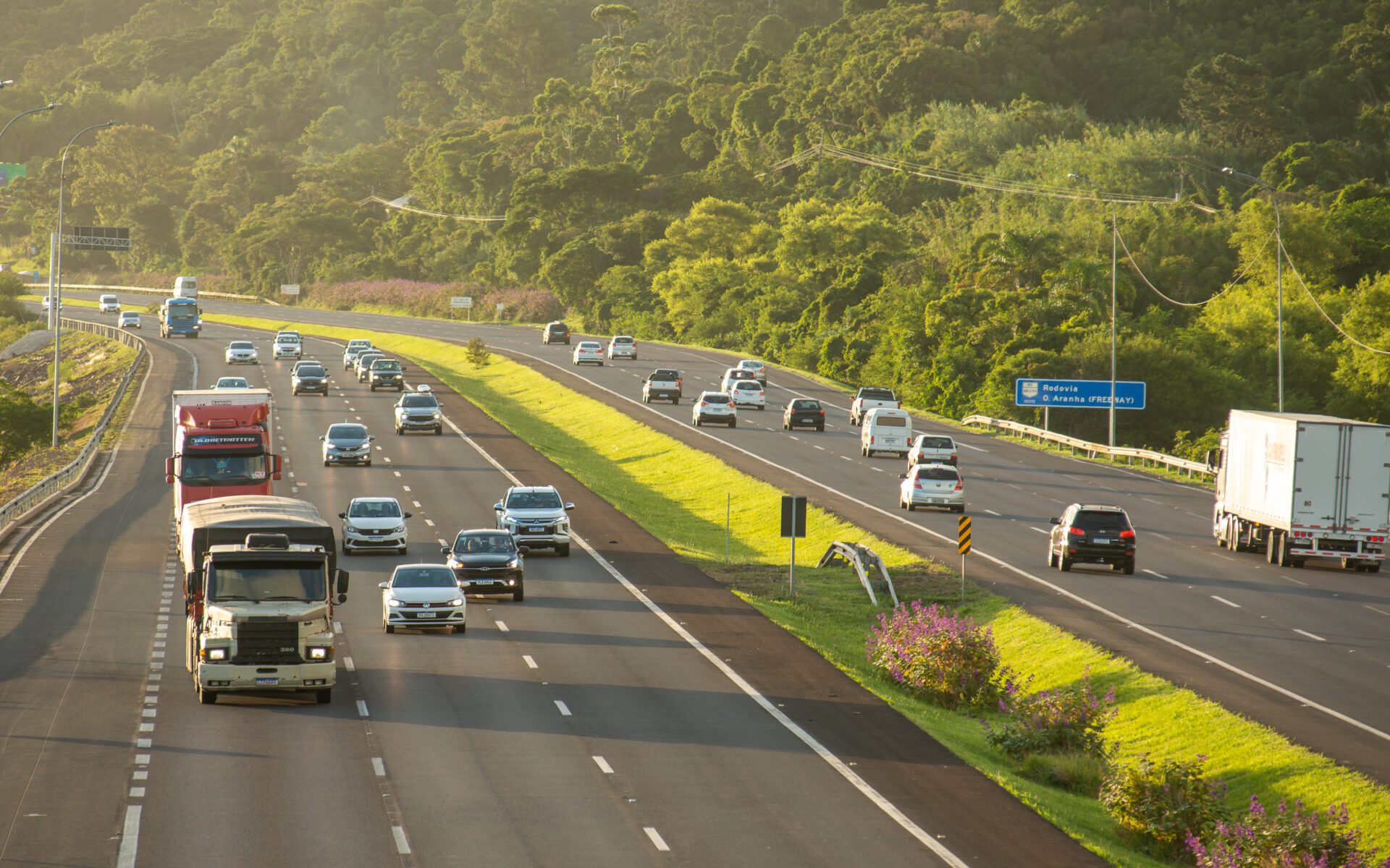 Mais de 260 mil veículos devem trafegar pela Freeway durante o feriado da Proclamação da República