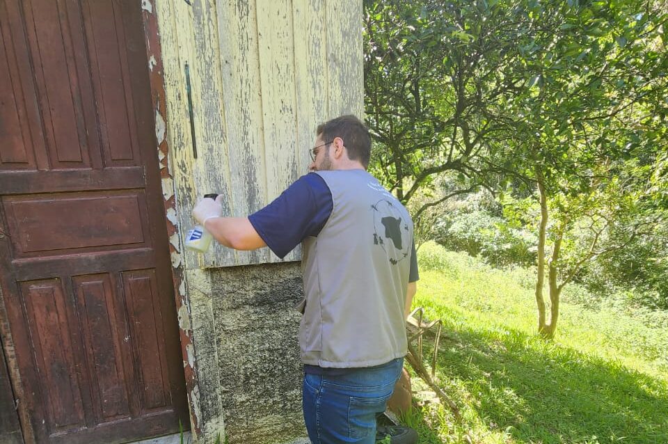 Com um caso de hospedeiro confirmado, Gravataí intensifica monitoramento de barbeiros