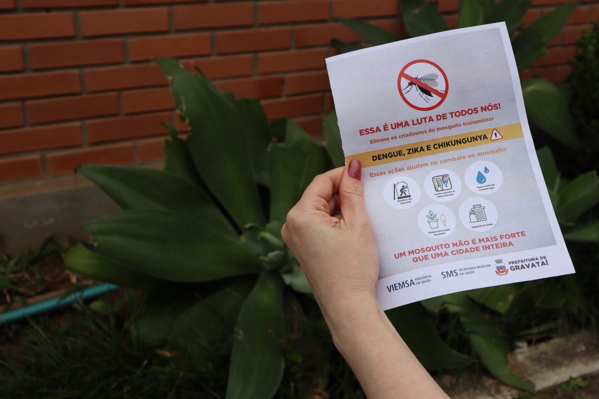 Gravataí terá neste sábado ações alusivas ao “Dia D” de mobilização contra a dengue