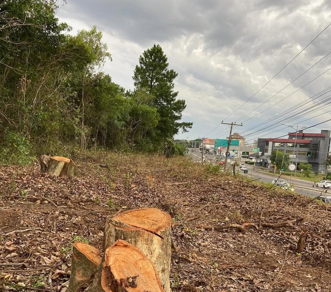 Manifestação a favor do Mato do Júlio ocorre neste sábado em Cachoeirinha