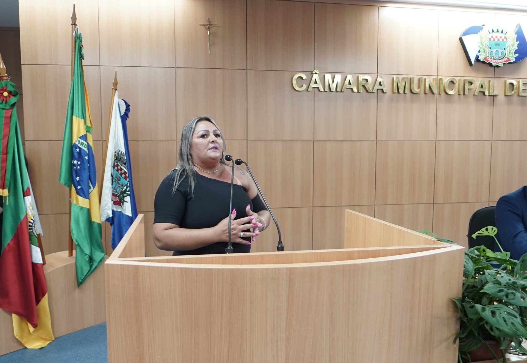 Vereadora Jussara Caçapava é eleita presidente da Câmara de Cachoeirinha