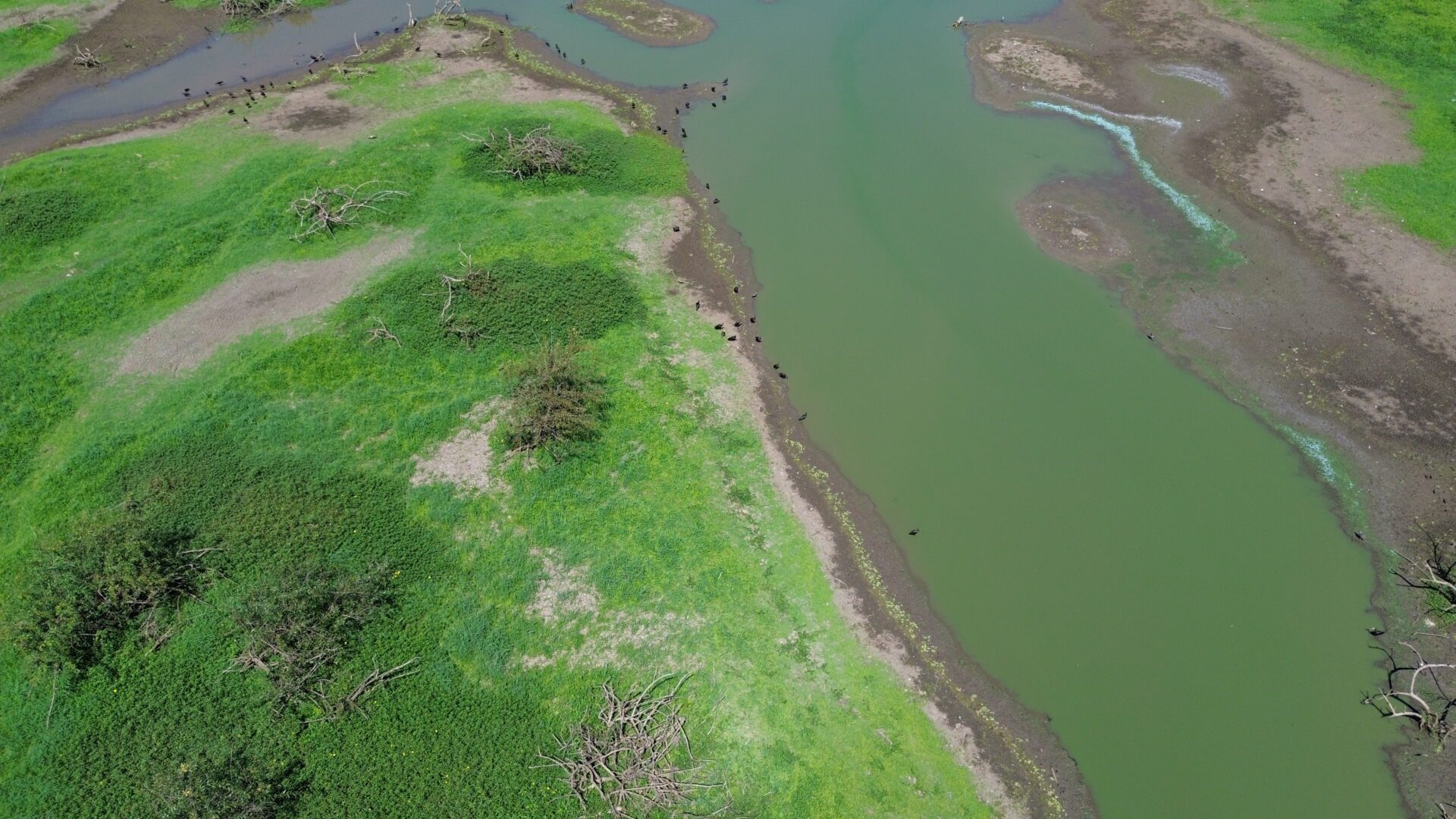 Mesmo com Rio Gravataí em condição crítica, Corsan afirma que não há risco de desabastecimento para a população