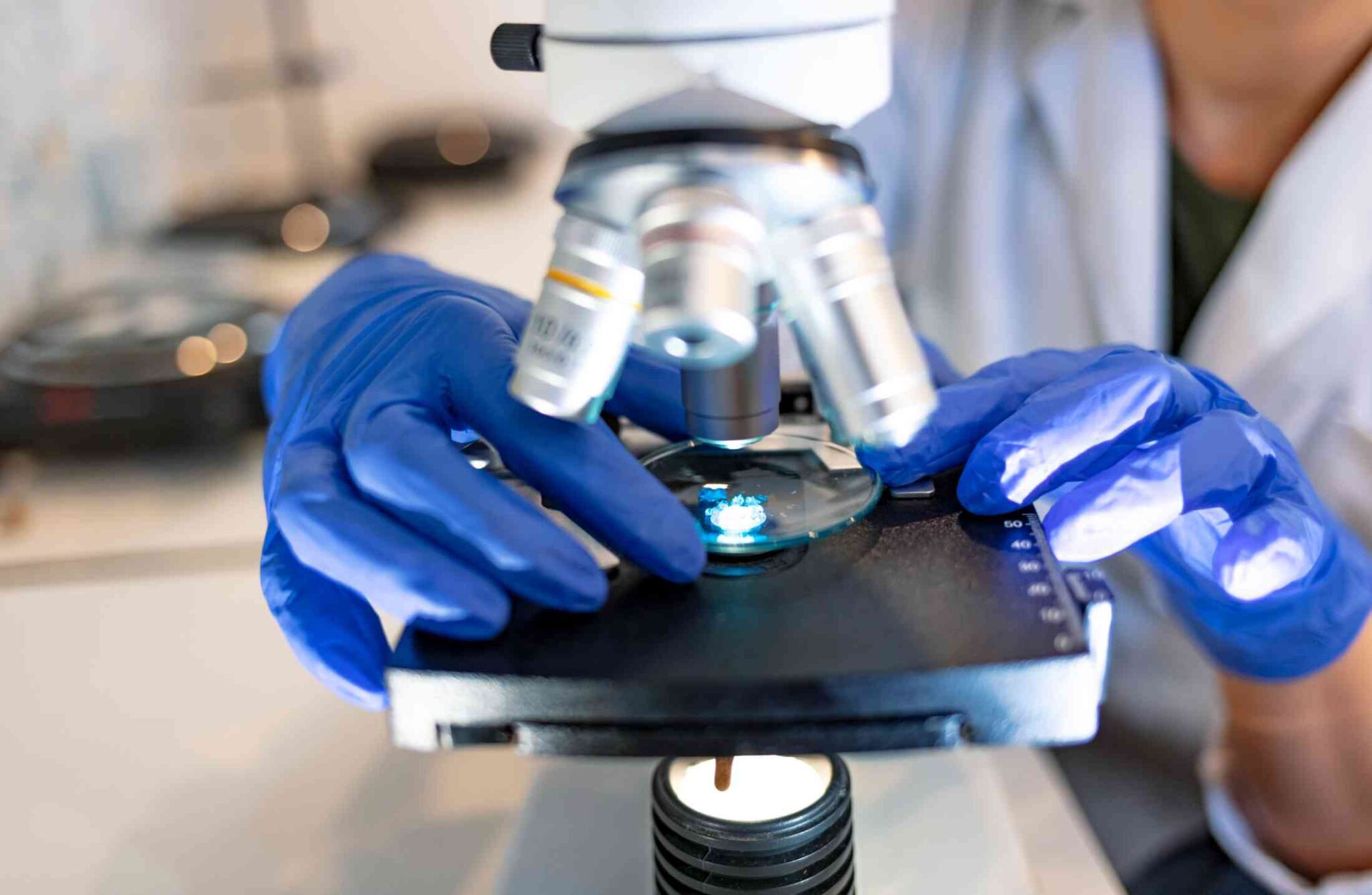 Gravataí recebe evento inédito e gratuito voltado para a nanotecnologia e eletrificação