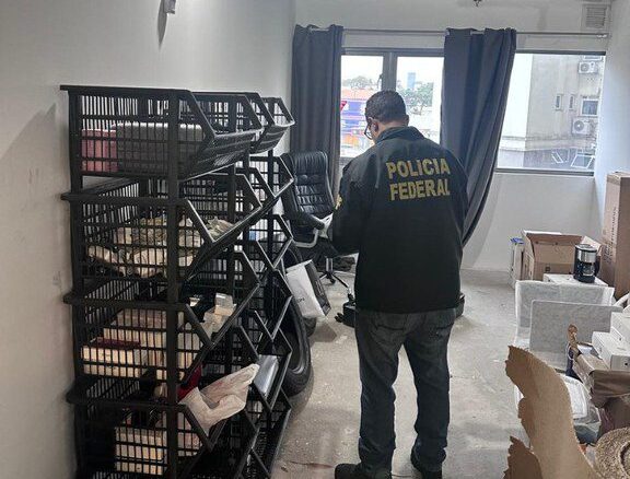 Polícia Federal faz buscas em Gravataí e Cachoeirinha contra esquema de eletrônicos ilegais