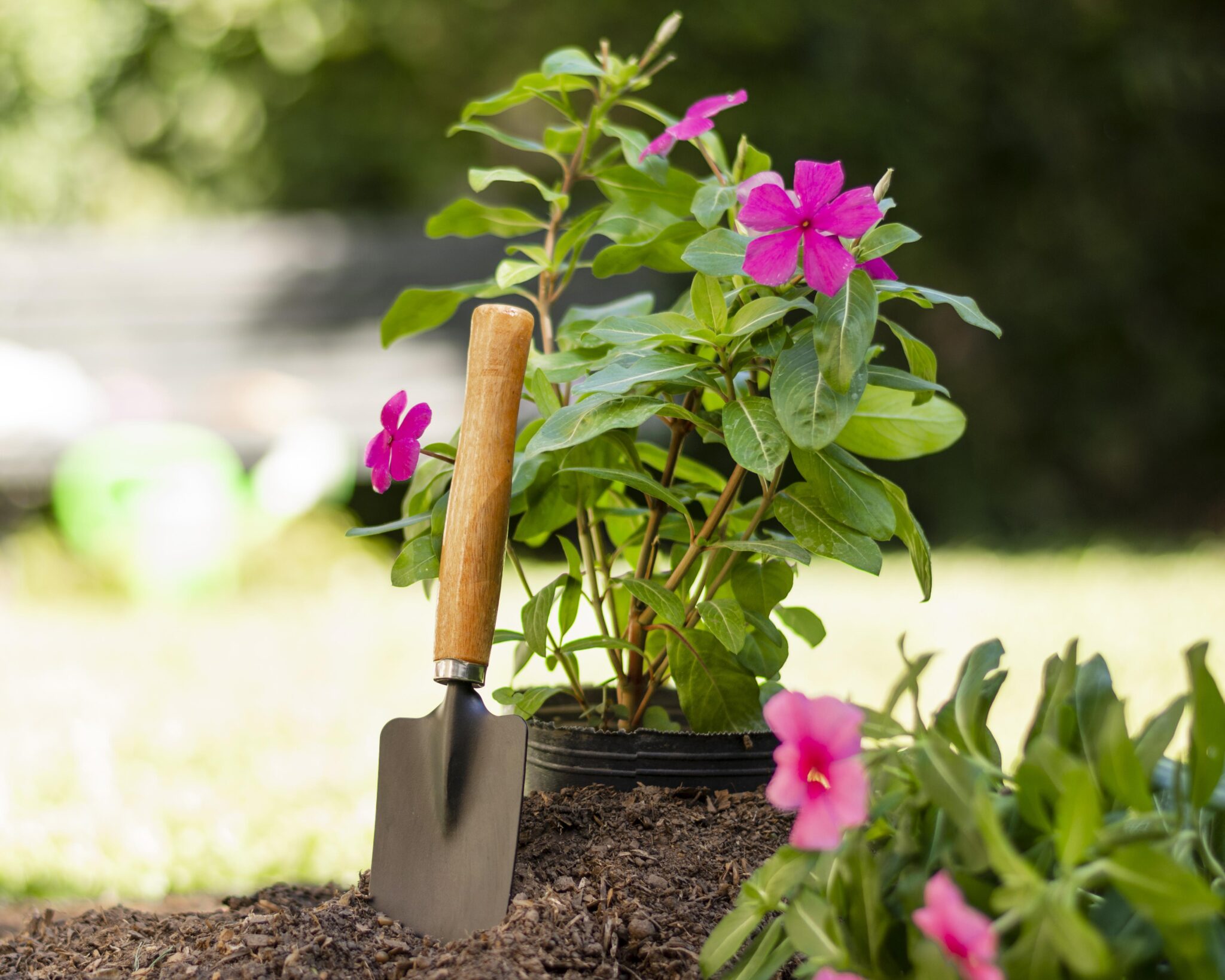 Cursos gratuitos de Gestão Rural e Jardinagem estão com inscrições abertas em Gravataí