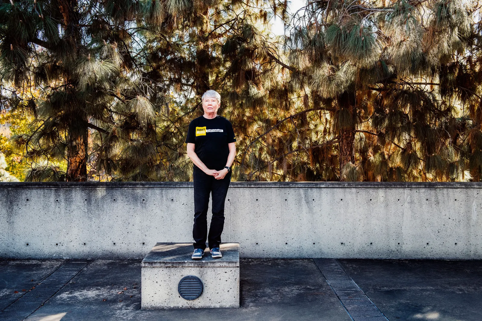 Ex-conselheira da Microsoft chega a Gravataí para reforçar conselho do ITEC