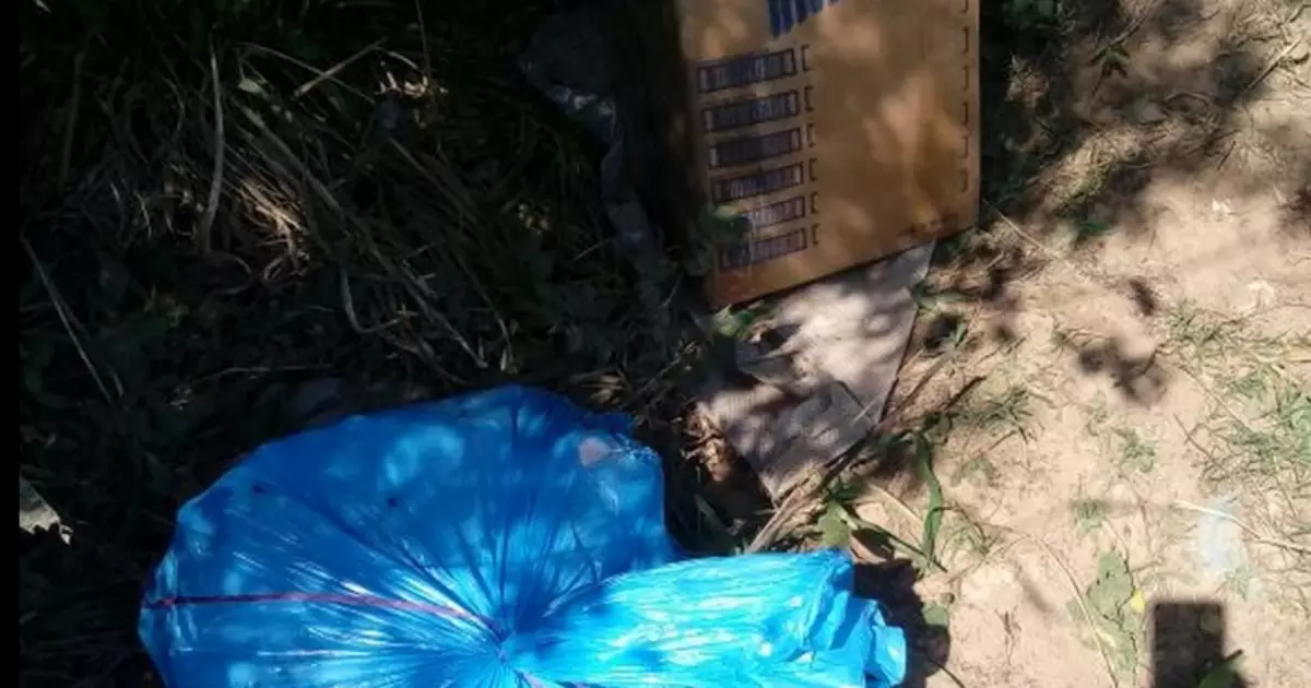 Crianças esquartejadas, falso ritual e prisão de delegado; crime que chocou o RS completa oito anos sem solução