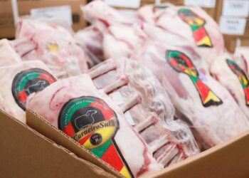 De Gravataí, Carneiro Sul fortalece a cadeia da carne ovina e consolida protagonismo no Brasil