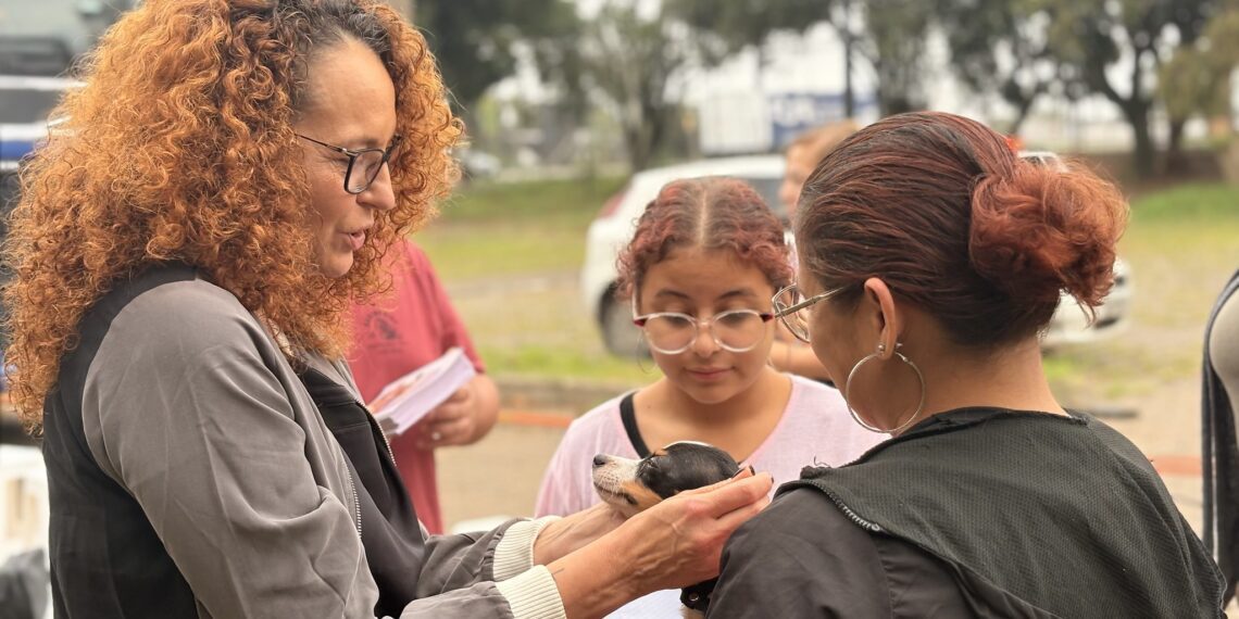 Mutirão de castrações gratuitas inicia atendimento em Gravataí; Cachoeirinha e outras cinco cidades serão beneficiadas na primeira etapa do projeto SinPatinhas