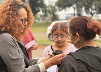 Mutirão de castrações gratuitas inicia atendimento em Gravataí; Cachoeirinha e outras cinco cidades serão beneficiadas na primeira etapa do projeto SinPatinhas