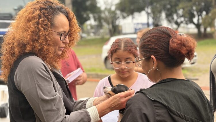 Mutirão de castrações gratuitas inicia atendimento em Gravataí; Cachoeirinha e outras cinco cidades serão beneficiadas na primeira etapa do projeto SinPatinhas