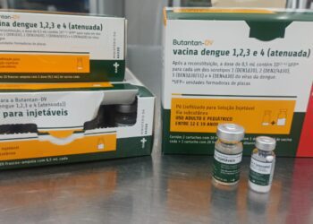 Em Gravataí, mais da metade das crianças e adolescentes não completou vacinação contra dengue