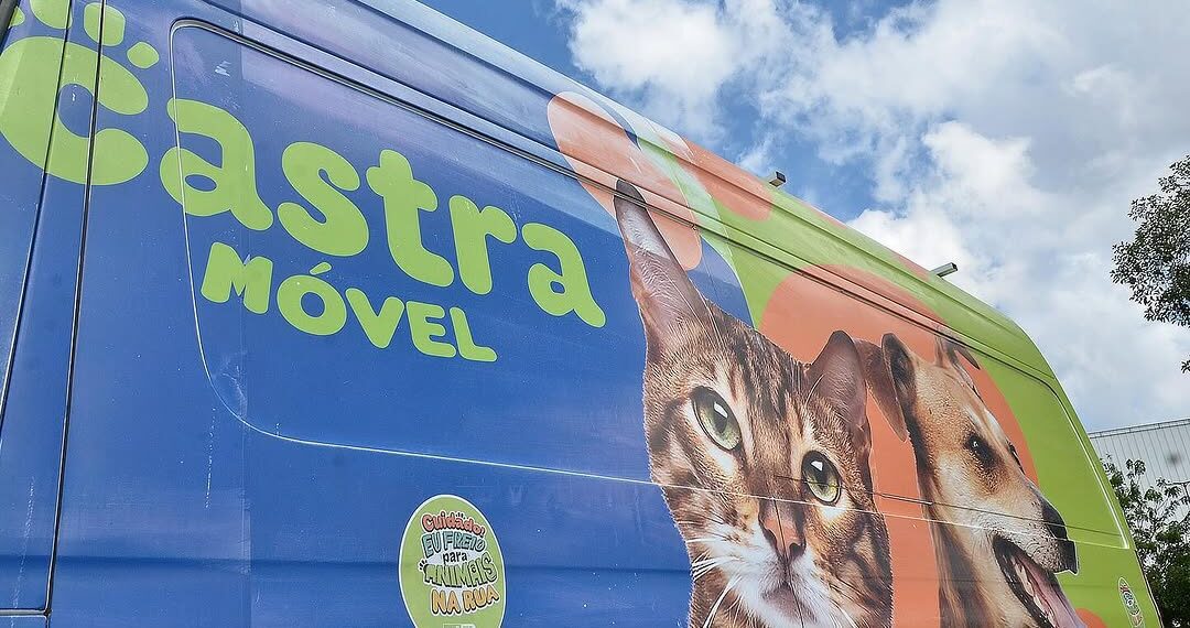 Gravataí poderá ter Castramóvel para ampliar o atendimento veterinário gratuito a animais