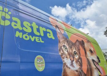 Gravataí poderá ter Castramóvel para ampliar o atendimento veterinário gratuito a animais