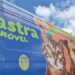 Gravataí poderá ter Castramóvel para ampliar o atendimento veterinário gratuito a animais