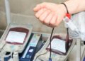 Junho Vermelho: conheça os requisitos básicos para a doação de sangue e como agendar sua coleta em Gravataí