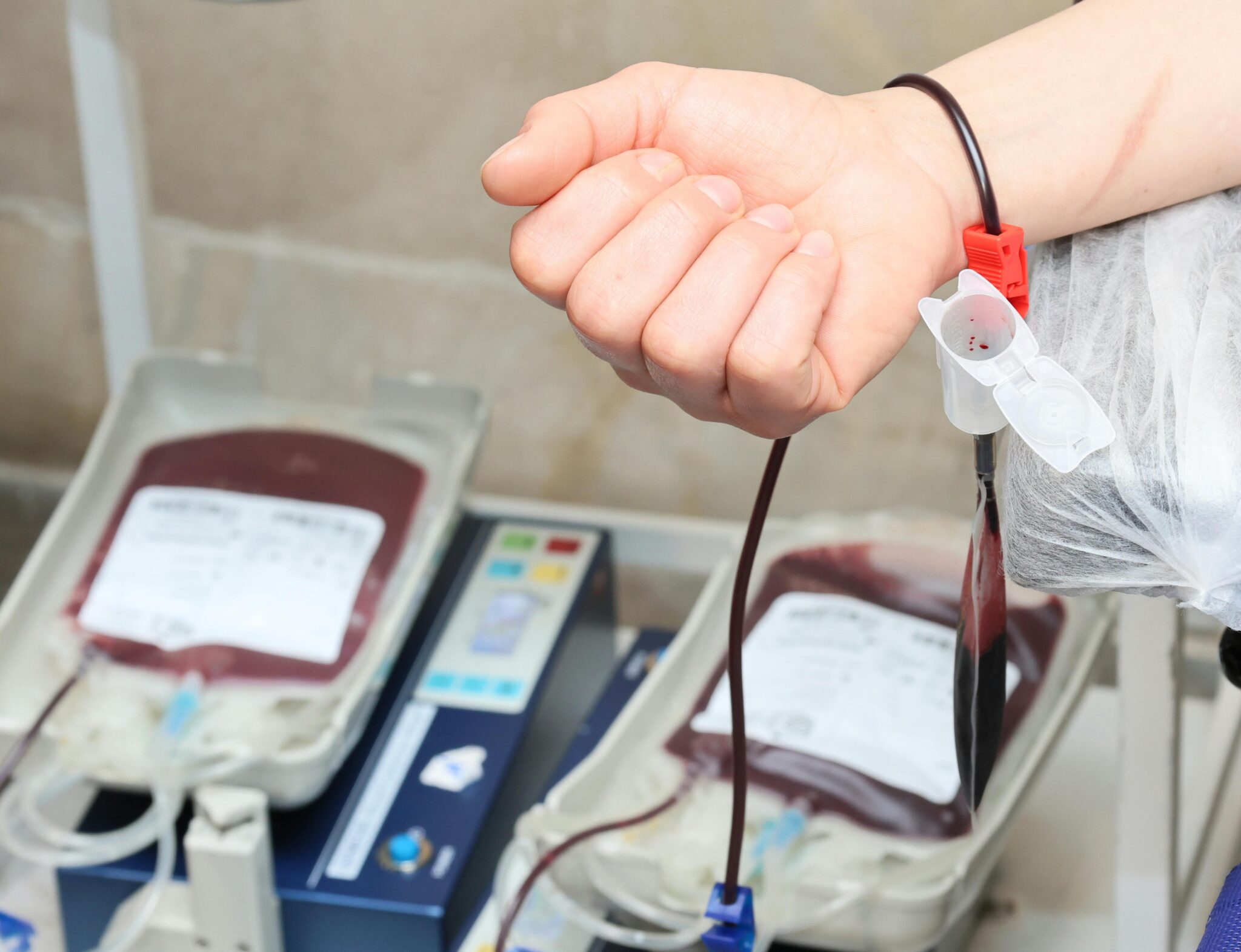 Junho Vermelho: conheça os requisitos básicos para a doação de sangue e como agendar sua coleta em Gravataí