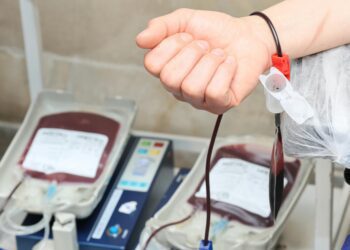 Junho Vermelho: conheça os requisitos básicos para a doação de sangue e como agendar sua coleta em Gravataí
