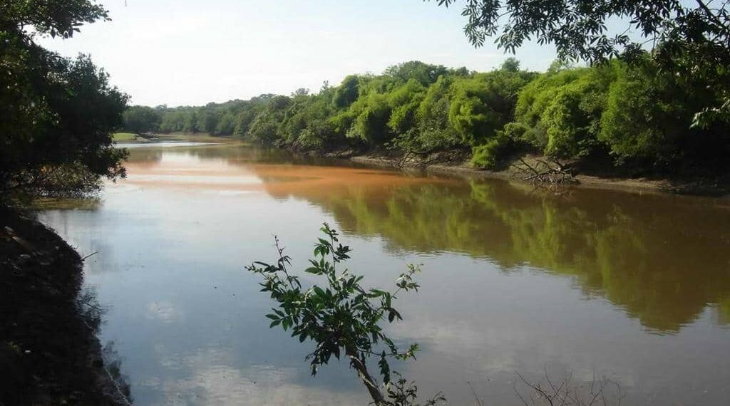 Rio Gravataí estabiliza abaixo da cota de inundação, mas volta da chuva exige atenção ao longo da semana