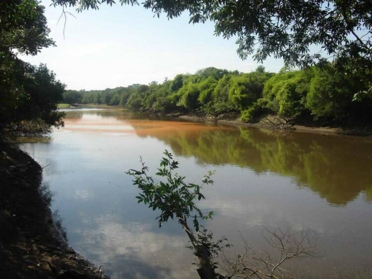 Rio Gravataí estabiliza abaixo da cota de inundação, mas volta da chuva exige atenção ao longo da semana