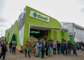 Presente na Expointer, Sicredi reforça compromisso com o agronegócio gaúcho